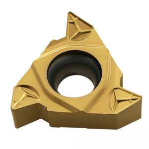 RT22.01N-6.00GM-YBG201 Пластина резьбовая