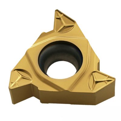 RT22.01N-6.00GM-YBG201 Пластина резьбовая